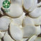Cheap hulled snow white pumpkin seed kernels wholesale