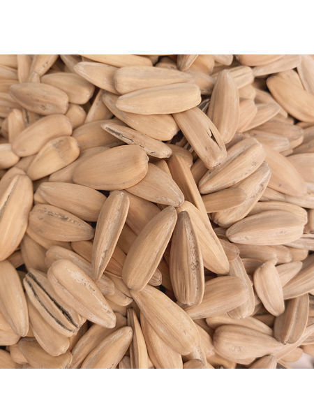 Wholesale Sunflower Seeds, Wholesale Cooked Sunflower Seeds