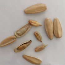 Wholesale Cooked and Striped Sunflower Seeds for Human Consumption in Premium-quality with Price