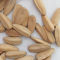Wholesale Cooked and Striped Sunflower Seeds for Human Consumption in Premium-quality with Price