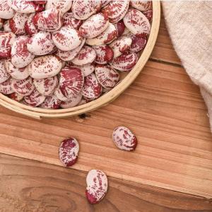 Wholesale Fashion Lotus Bean Bulk Packing Protein Red And White Kidney Bean