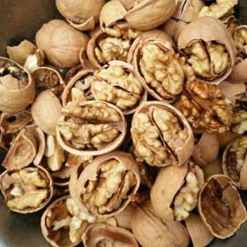 Wholesale Walnut Kernels,Walnut Kernels,Xinjiang Wholesale Walnut Kernels