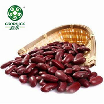 Wholesale Red Kidney Bean,Wholesale White Kidney Bean,Wholesale Fashion Lotus Bean