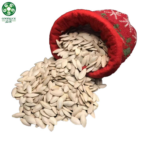 Bulk Lady Nail Roasted Pumpkin Seeds In Shell On Hot Sell Are Cheap