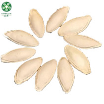 Lady Nail Roasted Pumpkin Seeds In Shell On Hot Sell Bulk Wholesale Cheap Price