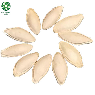 Lady Nail Roasted Pumpkin Seeds In Shell On Hot Sell Bulk Wholesale Cheap Price