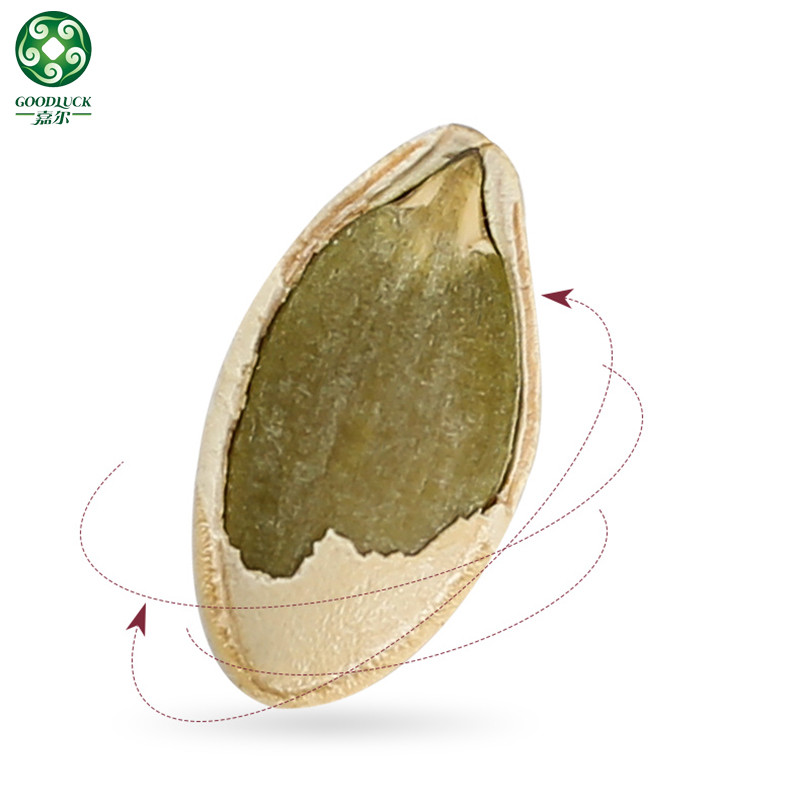 Pumpkin Seeds Wholesale