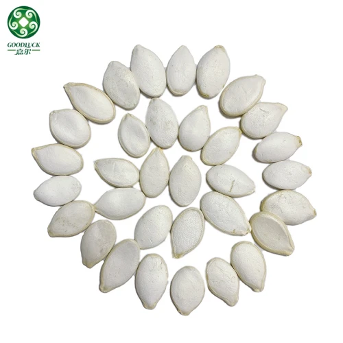 Bulk Raw Organic Snow White Cooking Pumpkin Seeds For Snacking