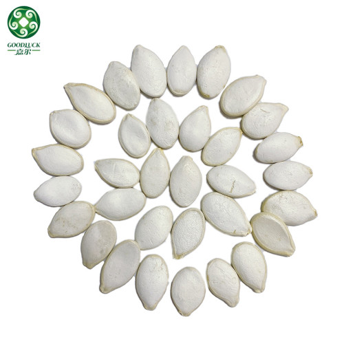 Bulk Raw Organic Snow White Cooking Pumpkin Seeds Are Quality