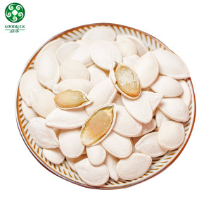 Bulk Raw Organic Snow White Cooking Pumpkin Seeds For Snacking