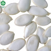 Les graines de citrouille de cuisson de Blanche-Neige biologiques crues en vrac sont de qualité