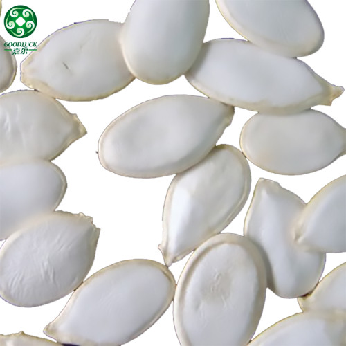 Bulk Raw Organic Snow White Cooking Pumpkin Seeds Are Quality