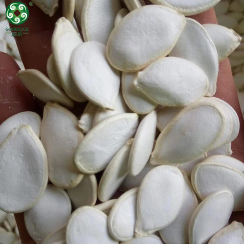 Bulk Raw Organic Snow White Cooking Pumpkin Seeds Are Quality