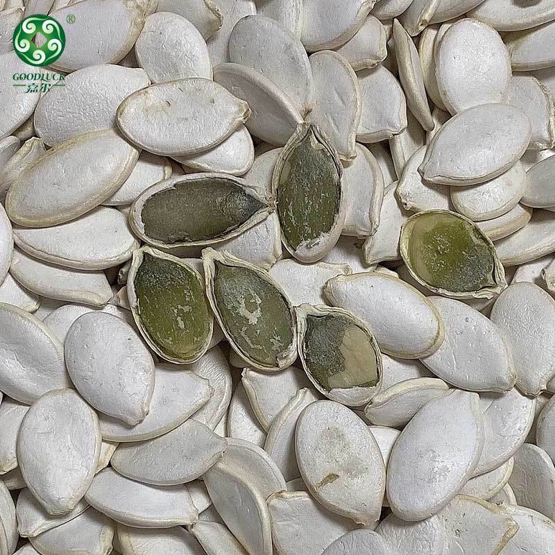 Vente en gros de graines de citrouille, fournisseur de graines de citrouille en Chine, usine de graines de citrouille, fabricant de graines de citrouille