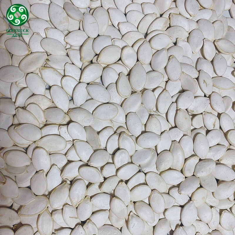 Pumpkin Seeds Wholesale,Pumpkin Seeds China supplier,Pumpkin Seeds Factory,Pumpkin Seeds Manufacturer
