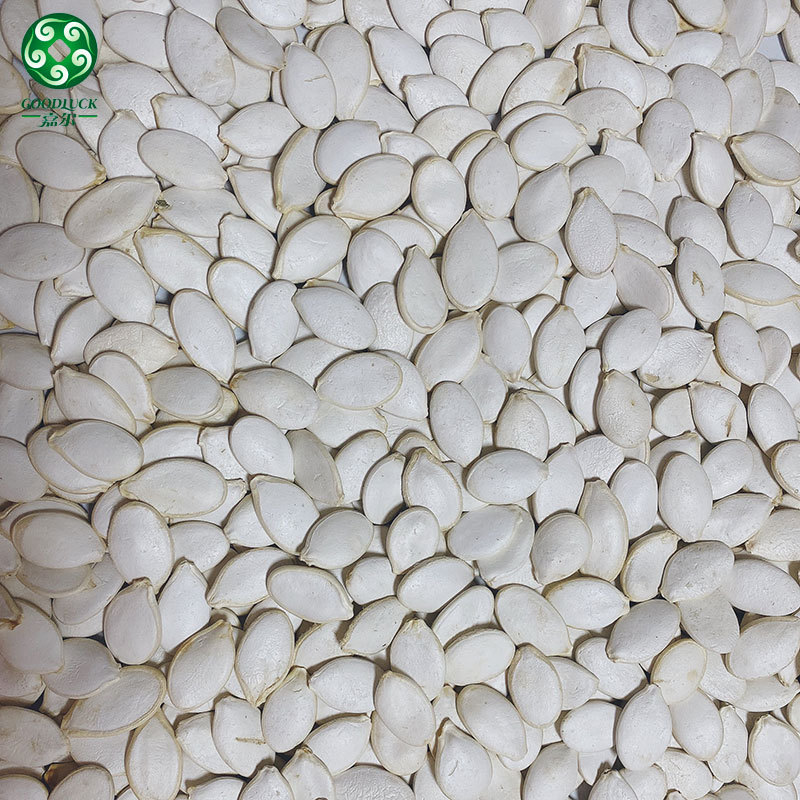 Vente en gros de graines de citrouille, fournisseur de graines de citrouille en Chine, usine de graines de citrouille, fabricant de graines de citrouille