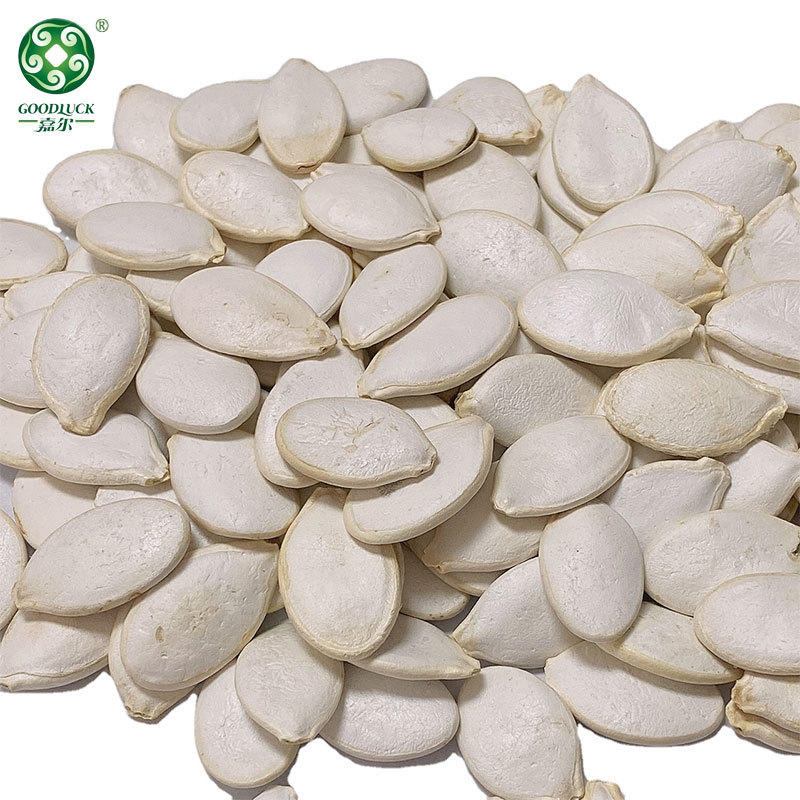 Vente en gros de graines de citrouille, fournisseur de graines de citrouille en Chine, usine de graines de citrouille, fabricant de graines de citrouille