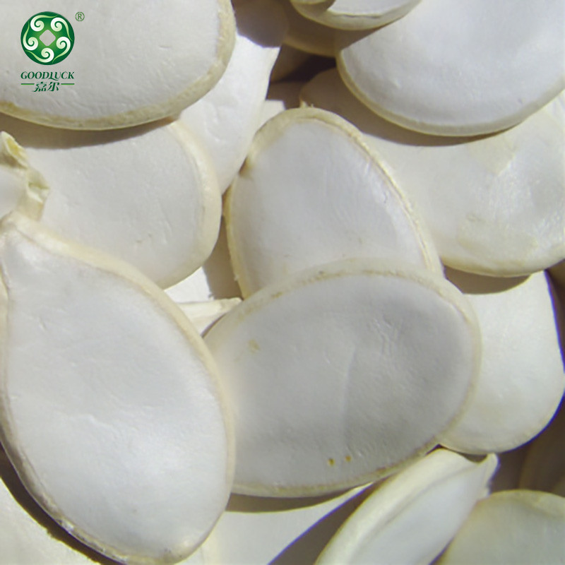 Pumpkin Seeds Wholesale,Pumpkin Seeds China supplier,Pumpkin Seeds Factory,Pumpkin Seeds Manufacturer