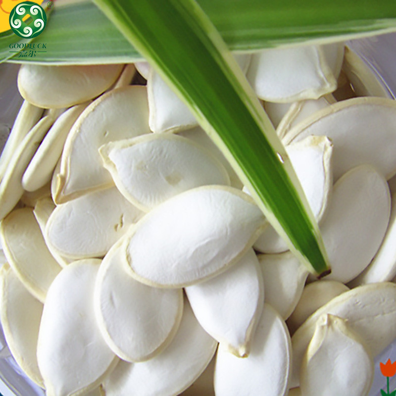 Pumpkin Seeds Wholesale,Pumpkin Seeds China supplier,Pumpkin Seeds Factory,Pumpkin Seeds Manufacturer