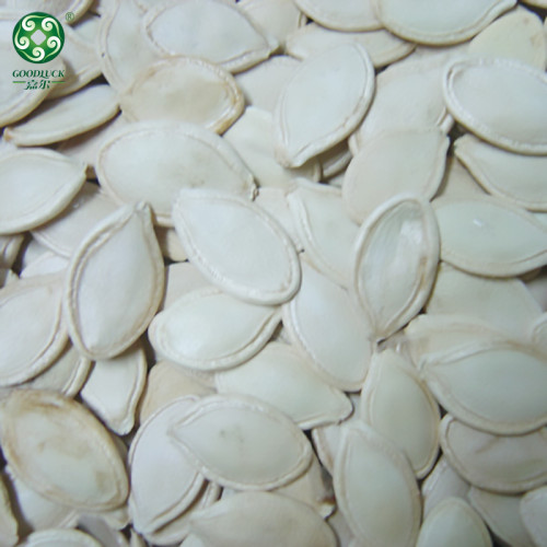 Wholesale Shine Skin Raw Pumpkin Seeds In Shell cheaper price
