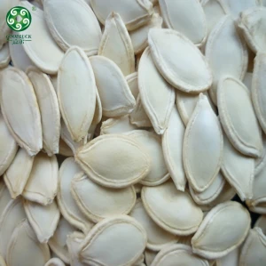 Wholesale Shine Skin Raw Pumpkin Seeds In Shell cheaper price