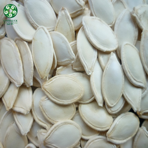 Wholesale Shine Skin Raw Pumpkin Seeds In Shell cheaper price