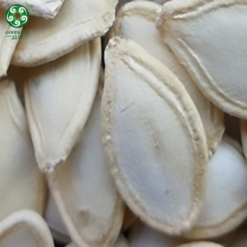 Pumpkin Seeds Wholesale,Pumpkin Seeds China supplier