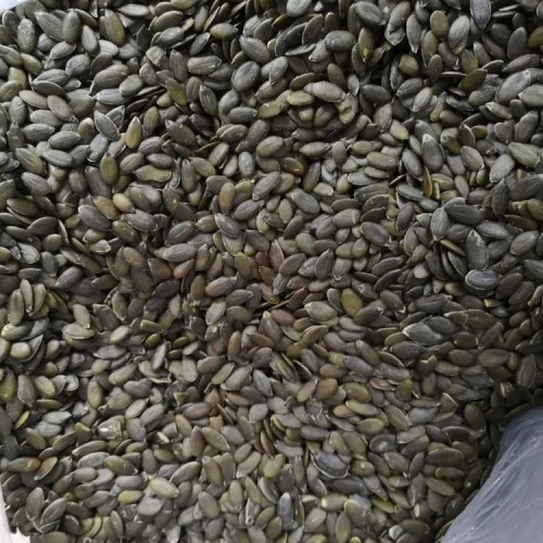 Wholesale Green Lady Nails Pumpkin Kernels for oil