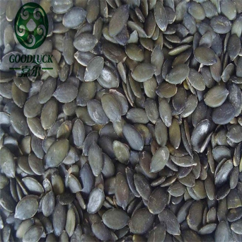 Wholesale Green Lady Nails Pumpkin Kernels for oil