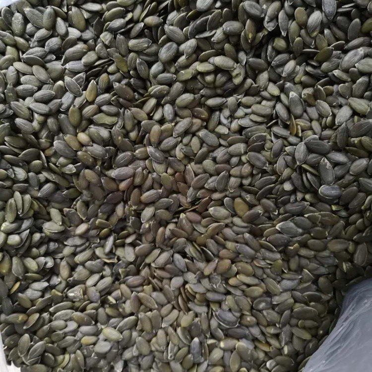 Pumpkin kernels wholesale,Pumpkin kernels china factory,Pumpkin kernels,Pumpkin kernels manufacturer