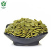 Wholesale Bulk Shine Skin Pumpkin Seed kernels cheaper price