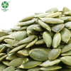 Wholesale Bulk Shine Skin Pumpkin Seed kernels cheaper price