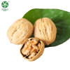 China Bulk 185 Walnuts In Paper-Thin Shell Are New Crop