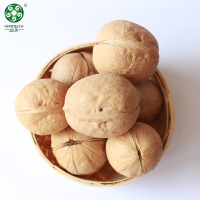 China Bulk 185 Paper-Thin Shell Walnuts In Paper-Thin Shell Are New Crop