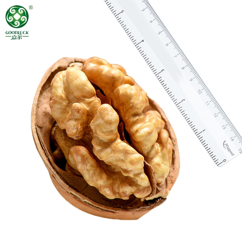 Walnuts In Paper-Thin Shell,Walnuts Wholesale,185 Walnuts china supplier,China walnuts factory