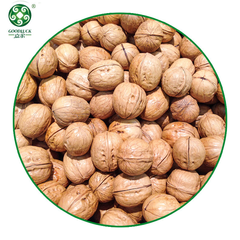 Walnuts In Paper-Thin Shell,Walnuts Wholesale,185 Walnuts china supplier,China walnuts factory