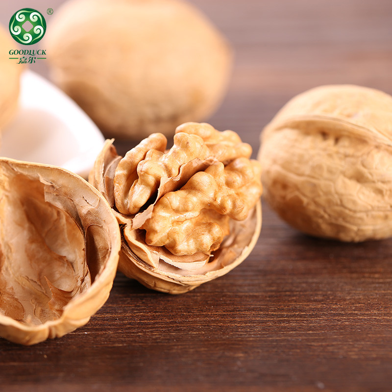 Walnuts In Paper-Thin Shell,Walnuts Wholesale,185 Walnuts china supplier,China walnuts factory