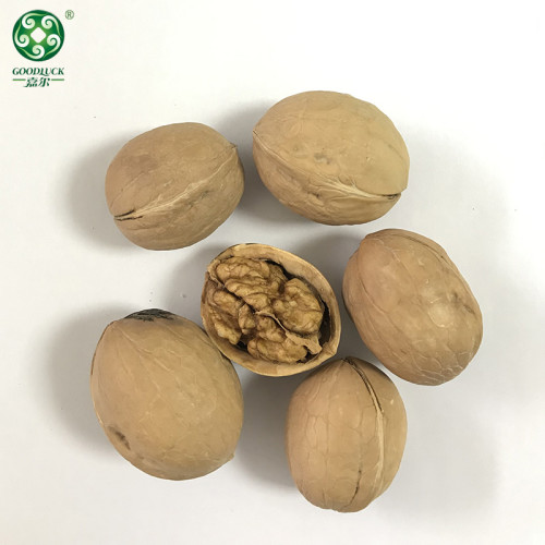 Wholesale 33 Walnuts In Thin Shell For Sale In Cheaper Price