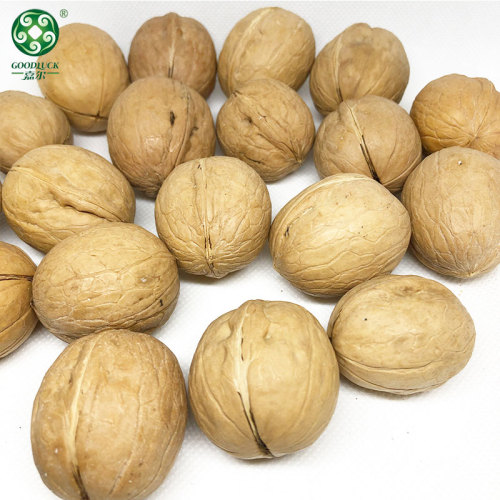 Wholesale 33 Walnuts In Thin Shell For Sale In Cheaper Price