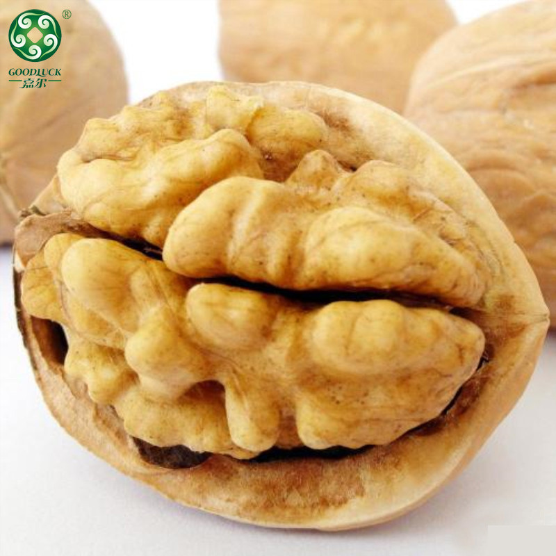 Thin Shell Walnuts wholesale,Thin Shell Walnuts china factory,Thin Shell Walnuts manufacturer