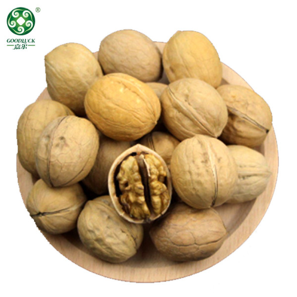 Organic Xin2 Walnuts In Shell With Competitive Price On Hot Sell