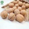 Organic Xin2 Walnuts In Shell With Competitive Price On Hot Sell