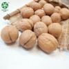 Organic China Thin Shell Walnuts Walnuts In Shell With Competitive Price On Hot Sell