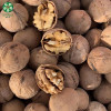 Organic Xin2 Walnuts In Shell With Competitive Price On Hot Sell