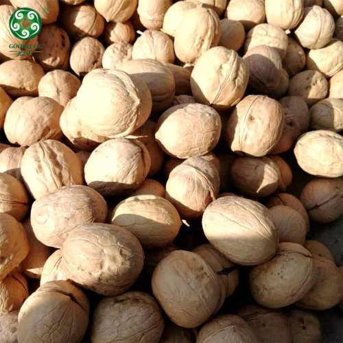 Organic Xin2 Walnuts In Shell With Competitive Price On Hot Sell