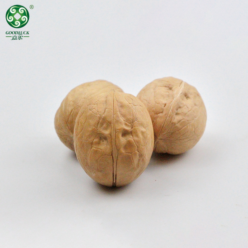 Thin Shell Walnuts china supplier,Thin Shell Walnuts wholesale manufacturer