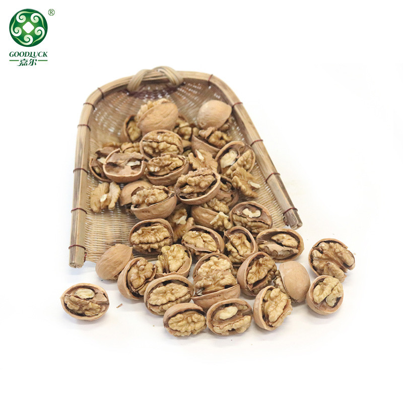 Thin Shell Walnuts china supplier,Thin Shell Walnuts wholesale manufacturer