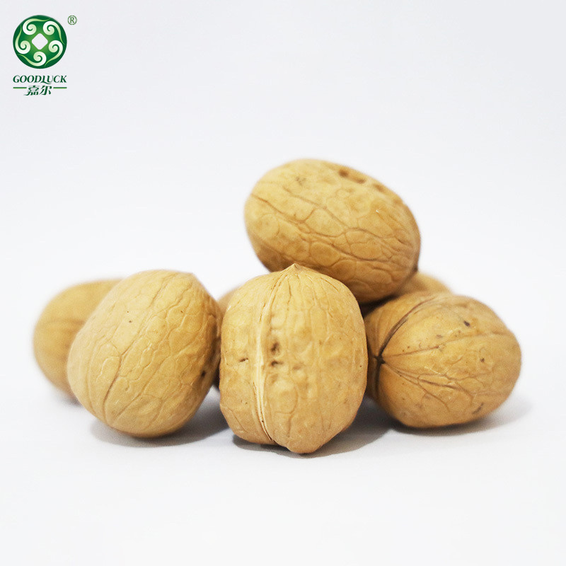 Thin Shell Walnuts china supplier,Thin Shell Walnuts wholesale manufacturer