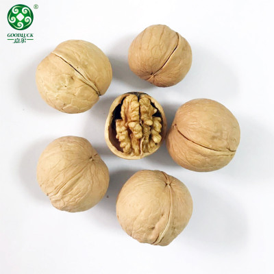 Buy Wholesale Xinguang Walnuts In Shell , Have A Jumbo Size