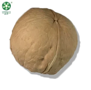 Buy Wholesale Xinguang Walnuts In Shell , Have A Jumbo Size